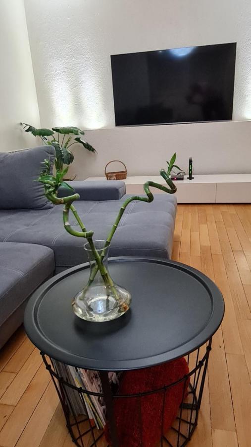 South 2 Osijek Apartman Kültér fotó