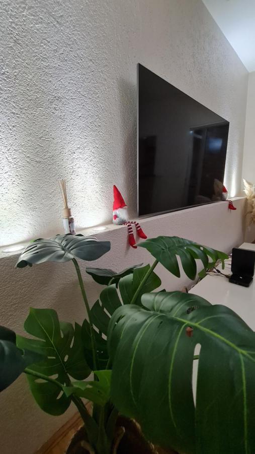 South 2 Osijek Apartman Kültér fotó